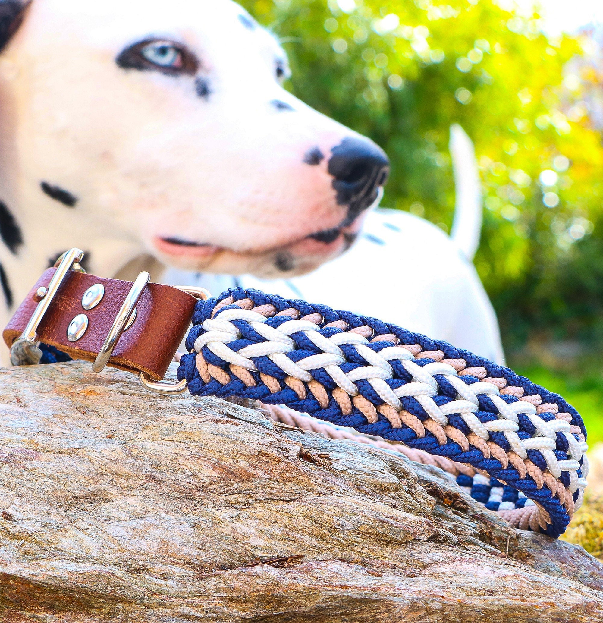Paracord dog hotsell collar supplies