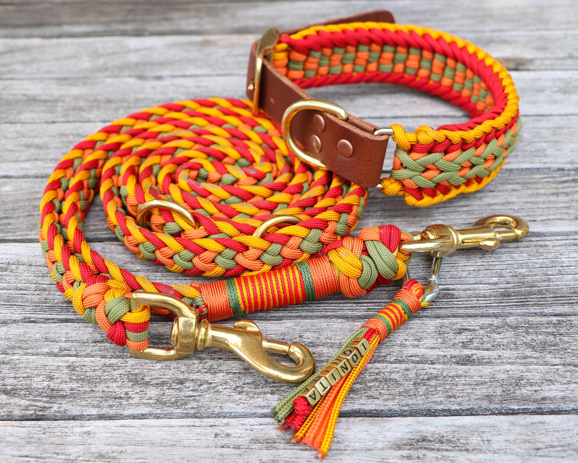 paracord collar and leash