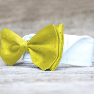 Wedding dog collar * bow tie collar * with hook-and-loop fastener * various colours