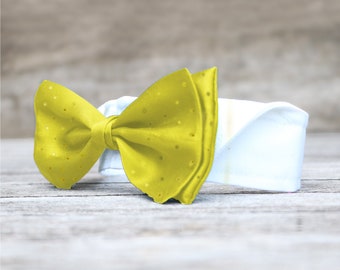 Gravata borboleta para cães para casamentos | Coleira de casamento para cães | Coleira para cães com gravata borboleta | com fecho de velcro | várias cores
