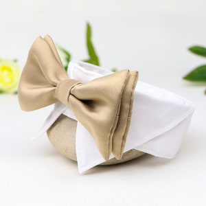 Wedding dog collar | bow tie collar | dog reing bearer | dog wedding attire | white gold | dog shirt collar | with hook-and-loop fastener