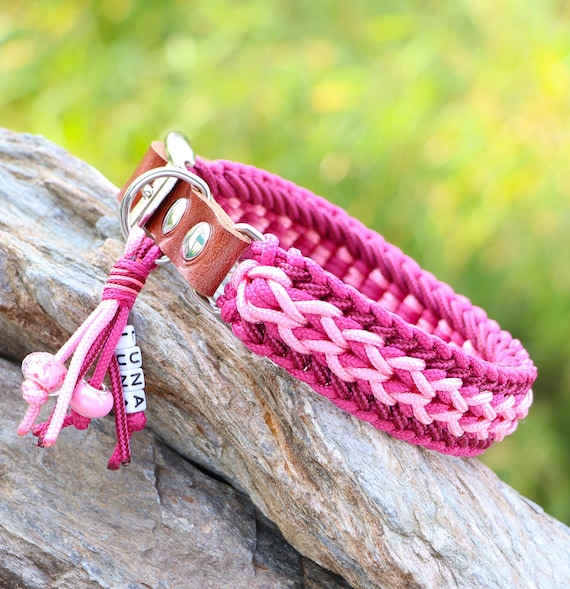 antibell halsband hund Antibellhalsband fr Hunde: Schonendes Training gegen Bellen