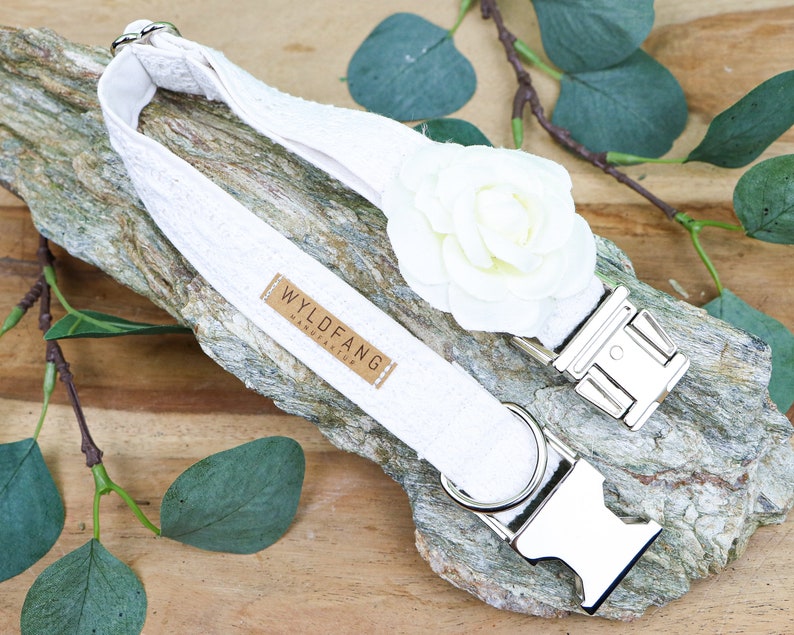 May include: White cotton dog collar with a white fabric flower and silver metal buckle. The collar has a brown leather tag with the text "WYLD FANG HANDMADE".