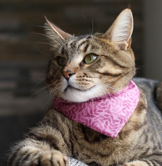 Kattenhalsband Breakaway Kitten Halsband met Leuke Strik en Aardbei Patroon, Comfortabel voor Kitty en Sommige Puppy's (S Kattenhalsband Breakaway Kitten Halsband met Leuke Strik en Aardbei Patroon, Comfortabel voor Kitty en Sommige Puppy's (S