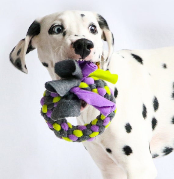 Extreem belangrijk Blind vertrouwen Versterken Hondenspeelgoed Puppy speelgoed Bijtring voor honden - Etsy Nederland