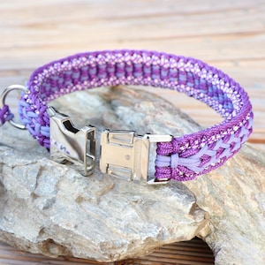 May include: Purple and white braided dog collar with a silver buckle.