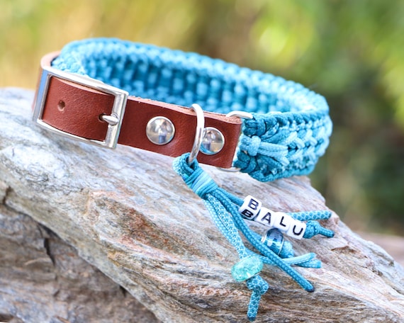 パラコード®犬用首輪（名前タグ付き） - オンブレターコイズ - レザー