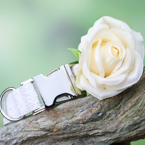 Wedding dog collar, floral dog collar with large white rose and romantic lace fabric, adjustable