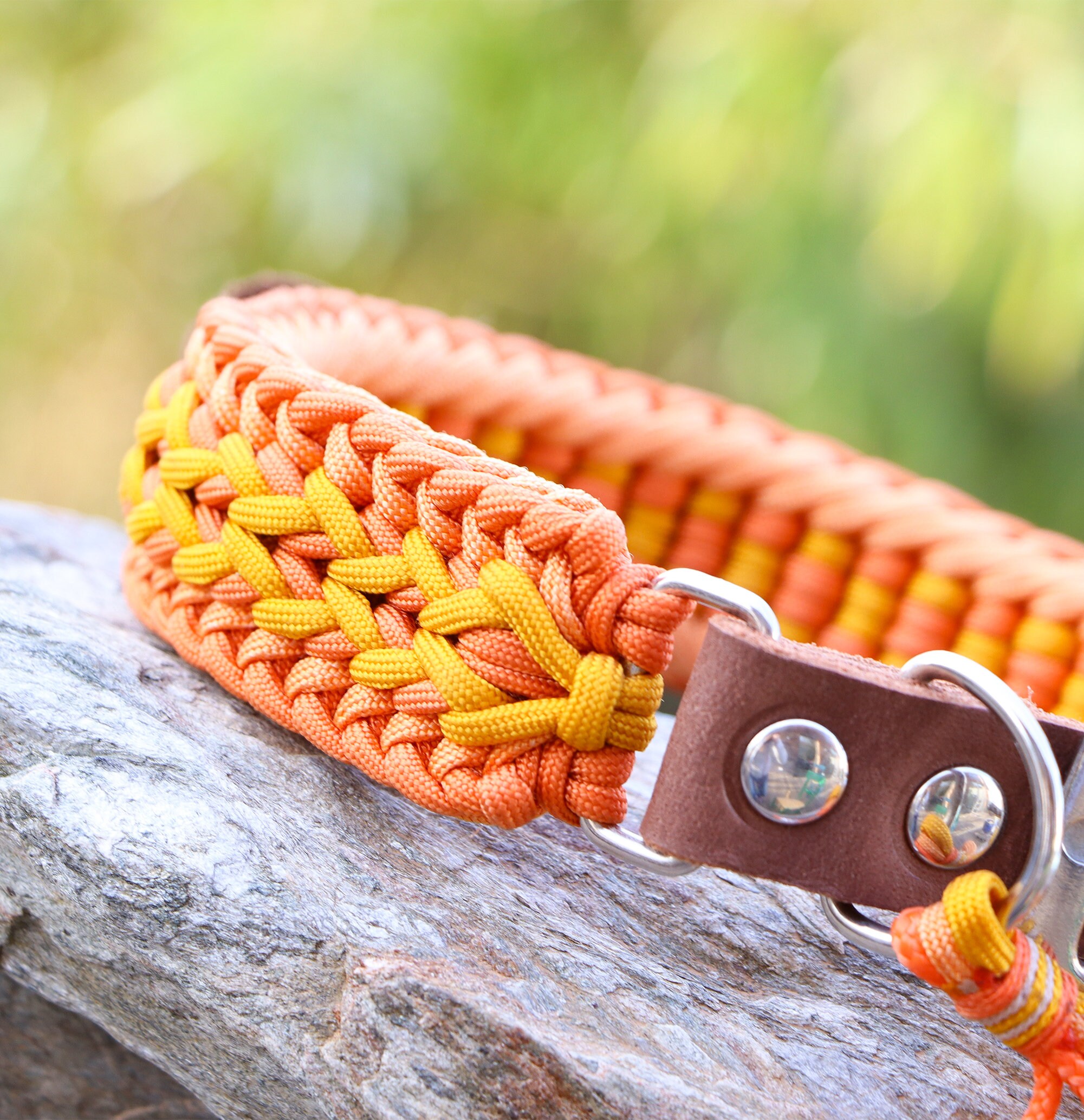 Beirui Hundehalsband & Leine Set Mit Blumenmuster – Personalisierbar, Goldfarbene Schnalle, Für Kleine Bis Große Hunde
