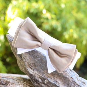 Wedding dog collar | bow tie collar | dog reing bearer | dog wedding attire | white gold | dog shirt collar | with hook-and-loop fastener