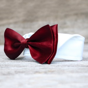 Wedding dog collar bow tie collar dress shirt for dogs with hook-and-loop fastener various colours image 8