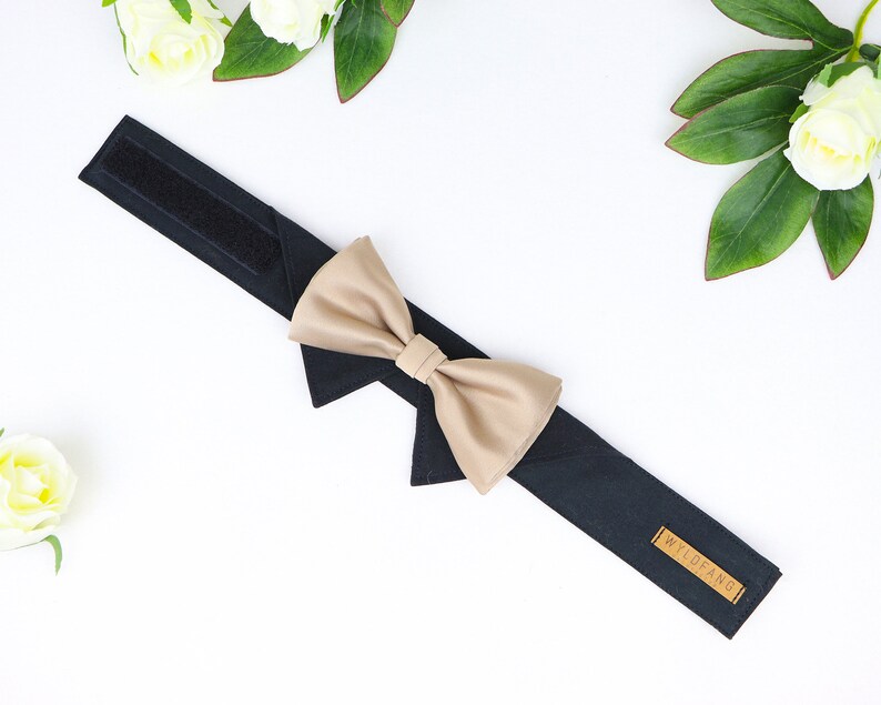Pajarita para cuello de camisa de perro | Collar de perro para boda con pajarita | Pajarita para perro portador de anillos | Oro negro | con cierre de velcro imagen 2