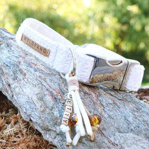 May include: White dog collar with a silver buckle and a white leather tag with the text "WYLD FANG" on it. A white tassel with the name "BETTY" is attached to the collar.