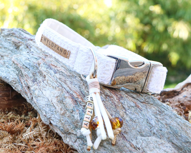 May include: White dog collar with a silver buckle and a white leather tag with the text "WYLD FANG" on it. A white tassel with the name "BETTY" is attached to the collar.
