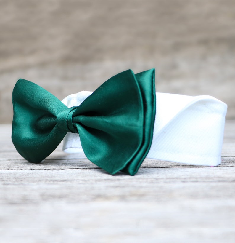 Wedding dog collar bow tie collar dress shirt for dogs with hook-and-loop fastener various colours image 7