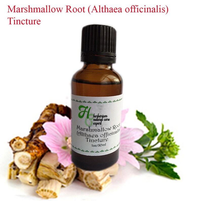 Marshmallow Root Althaea officinalis Tincture. Etsy