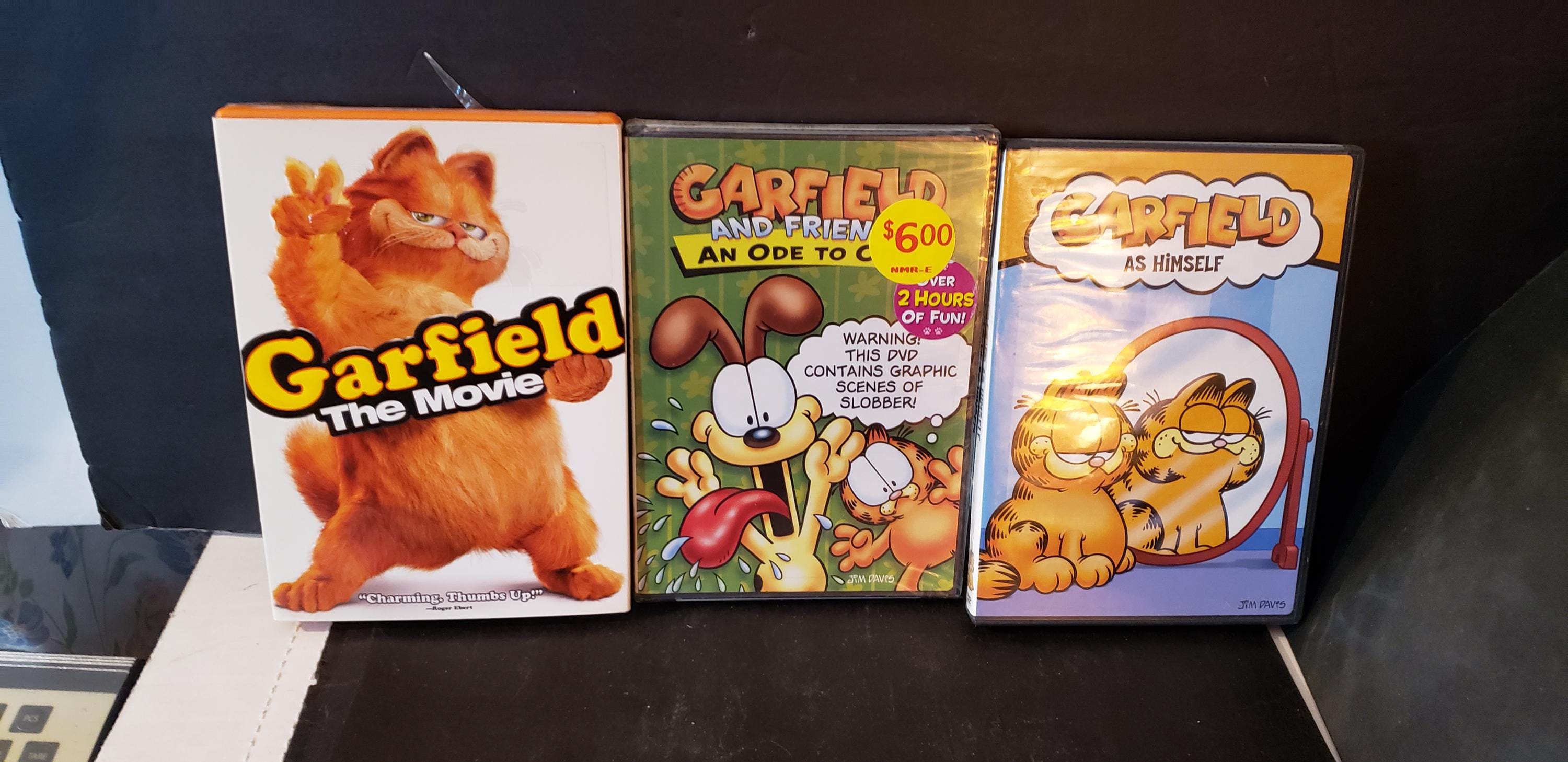 Garfield Movies, DVD's