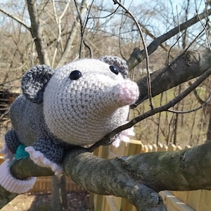 K&ouml;nnte beinhalten: Ein graues und rosa geh&auml;keltes Opossum-Pl&uuml;schtier sitzt auf einem Ast. Das Opossum hat schwarze Augen und eine rosa Nase.