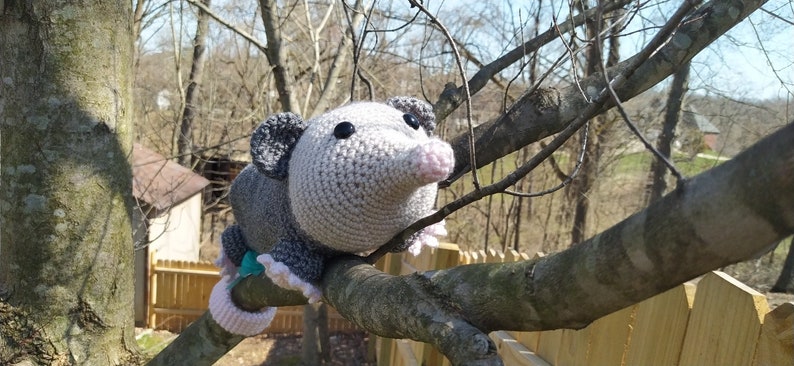 K&ouml;nnte beinhalten: Ein graues und rosa geh&auml;keltes Opossum-Pl&uuml;schtier sitzt auf einem Ast. Das Opossum hat schwarze Augen und eine rosa Nase.