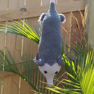 K&ouml;nnte beinhalten: Ein graues und wei&szlig;es geh&auml;keltes Opossum, das an einem Baumzweig h&auml;ngt. Das Opossum hat rosa Ohren und einen rosa Schwanz. Das Opossum h&auml;ngt &uuml;ber einem Holzzaun und gr&uuml;nen Palmbl&auml;ttern.
