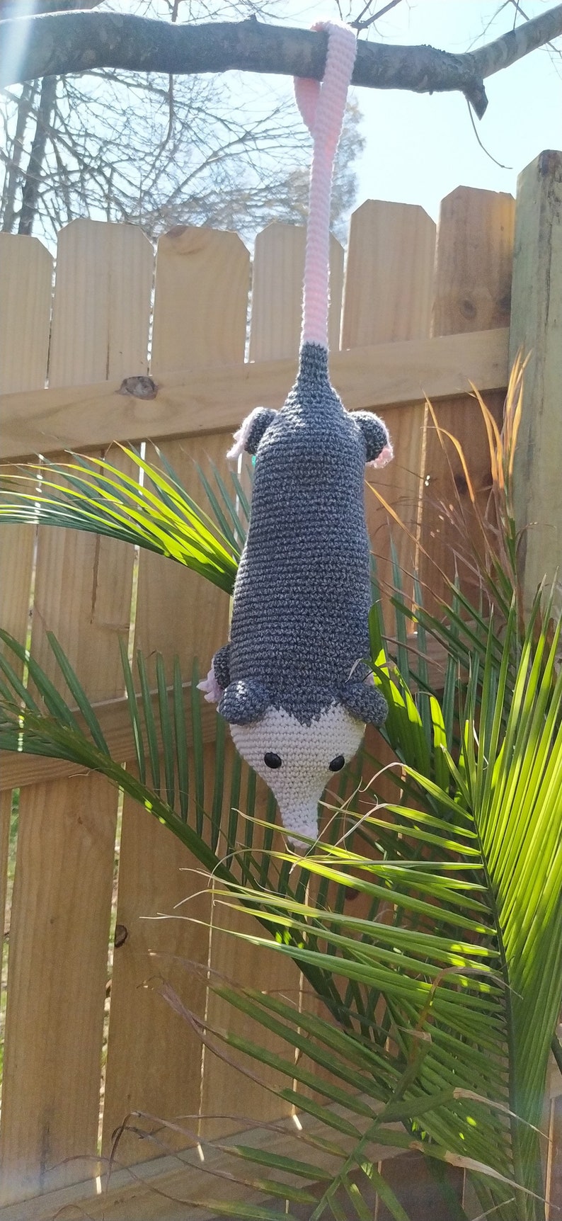 K&ouml;nnte beinhalten: Ein graues und wei&szlig;es geh&auml;keltes Opossum, das an einem Baumzweig h&auml;ngt. Das Opossum hat rosa Ohren und einen rosa Schwanz. Das Opossum h&auml;ngt &uuml;ber einem Holzzaun und gr&uuml;nen Palmbl&auml;ttern.