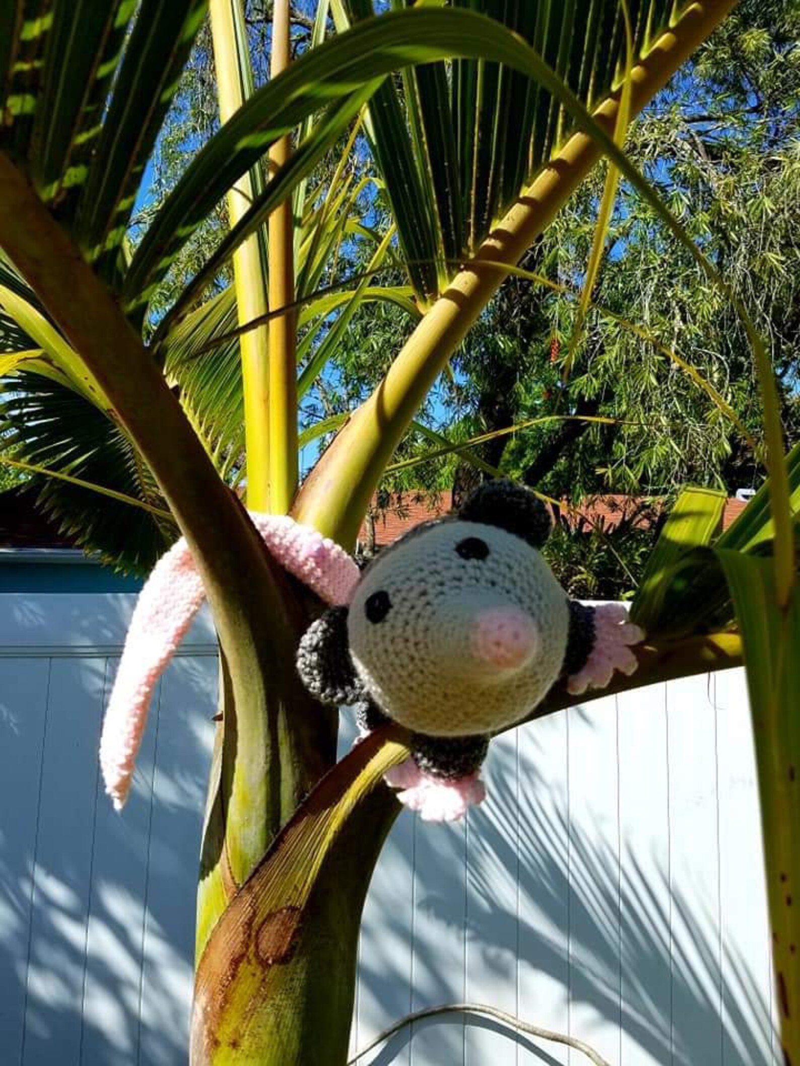 CROCHET PATTERN Amigurumi Bag Holder Crochet Opossum Bag Etsy