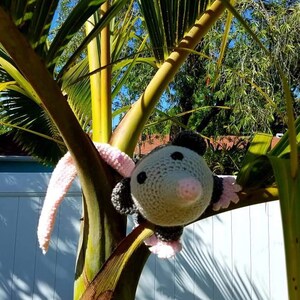 K&ouml;nnte beinhalten: Ein geh&auml;keltes graues und rosa Opossum-Pl&uuml;schtier mit schwarzen Augen h&auml;ngt an einem Palmenstamm. Das Opossum hat einen langen rosa Schwanz.