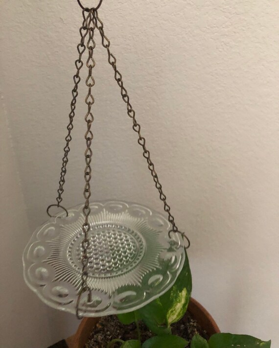 Pair Of Hanging Glass Shallow Bird Feeder Outdoor Indoor Etsy