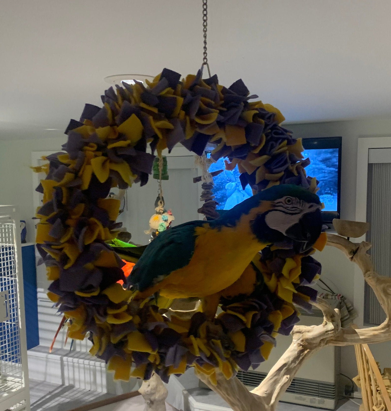 2122 Fleece Swing Bird Snuggle Cuddle Ring for Larger Etsy