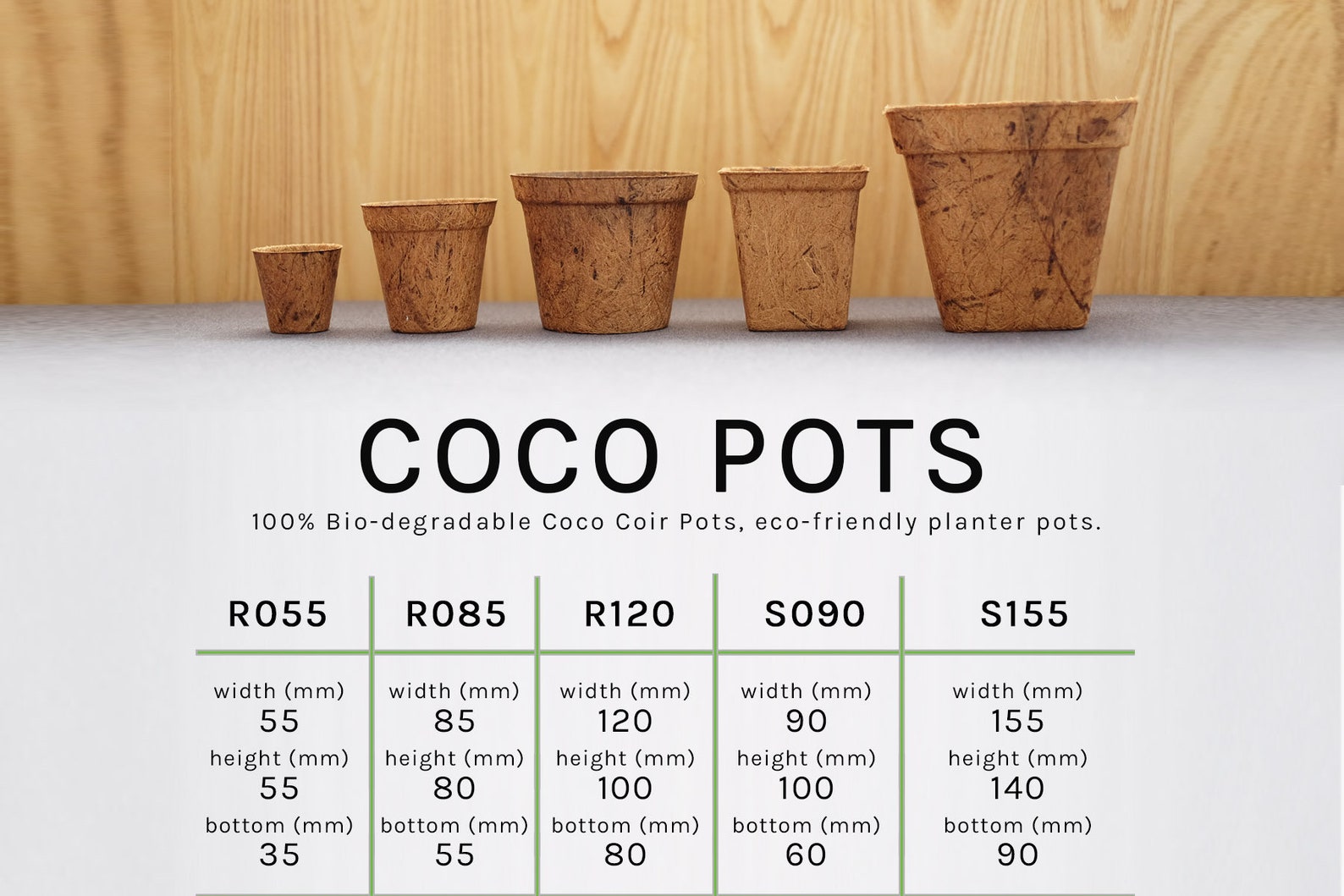 Biodegradable Coco Coir Pots for Seedlings - Eco-friendly Nursery ...