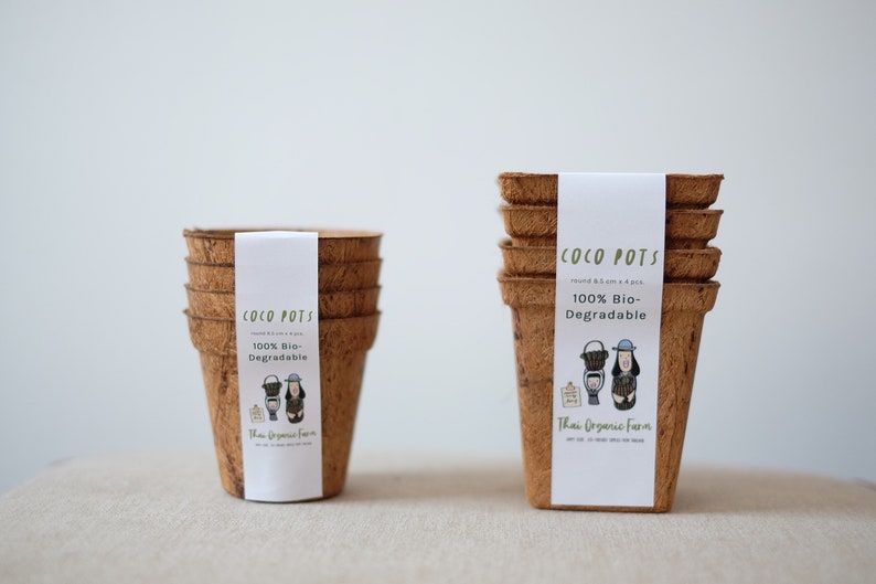 Biodegradable Coco Coir Pots for Seedlings - Eco-friendly Nursery ...