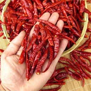May include: A hand holding a pile of dried red chilli peppers. The peppers are long and thin, and they are arranged in a pile in the palm of the hand.