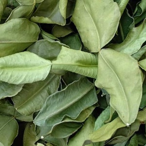 BESTSELLER - Dried Kaffir Lime Leaves - Authentic Thai Ingredient for Cooking and Herbal Tea image 2