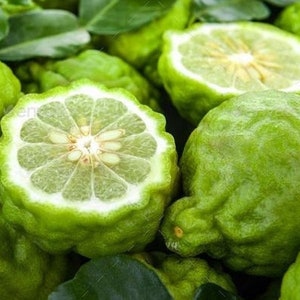 BESTSELLER - Dried Kaffir Lime Leaves - Authentic Thai Ingredient for Cooking and Herbal Tea image 5