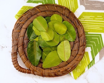 MÁS VENDIDAS - Hojas secas de lima kaffir: ingrediente tailandés auténtico para cocinar y preparar té de hierbas