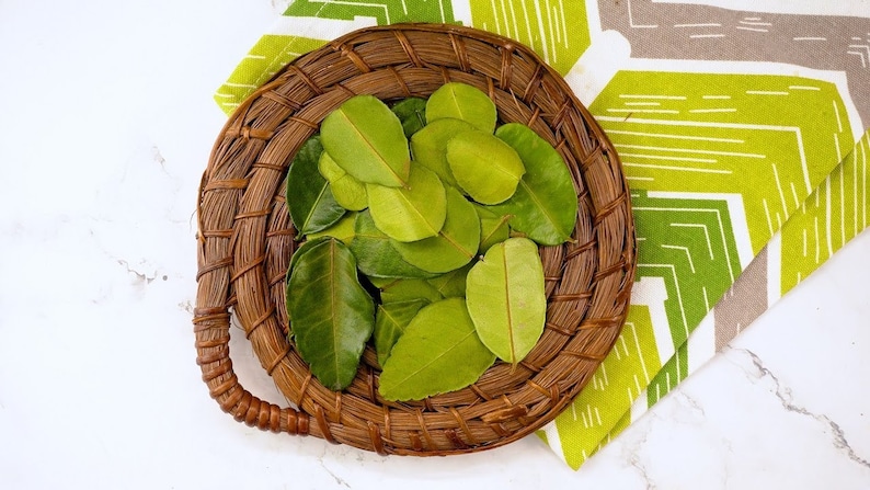 BESTSELLER - Dried Kaffir Lime Leaves - Authentic Thai Ingredient for Cooking and Herbal Tea image 1