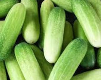 Thaise komkommerzaden: hoogproductieve variëteit voor huistuinen