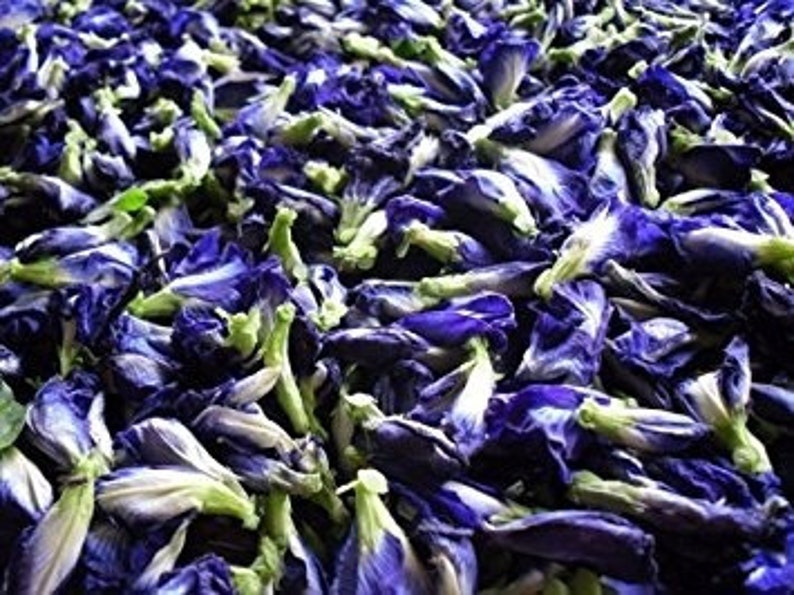 Dried Butterfly Pea Clitoria ternatea Whole Flower Dried Etsy