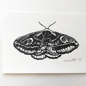 Linocut Print - Moth - Original handmade artwork