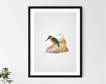 Kingfisher Bird Painting Wall Art Print