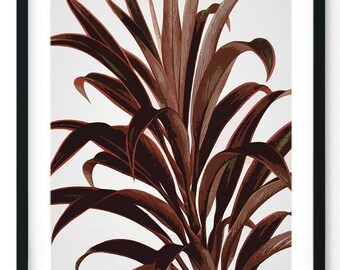 Abstract Plant Giclee Print, Restored Vintage Wall Art, Botanical Home Decor, Flower Wall Art, Botany Print - A5, A4, A3, A2