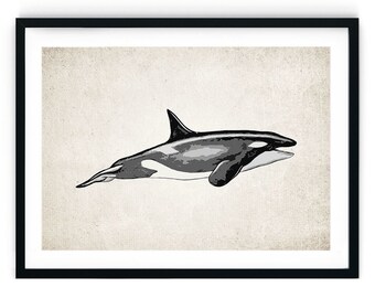 Impresión giclée de orca, arte mural vintage restaurado, impresión acuática, decoración de baño, impresión de orca (A5, A4, A3, A2)