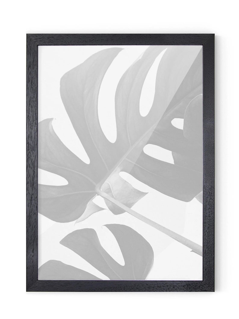 May include: Black framed print featuring a grayscale image of a Monstera leaf. The leaf has large, irregular holes and prominent veins. The frame is a simple, dark wood design, creating a modern aesthetic. The artwork is suitable for home decor.