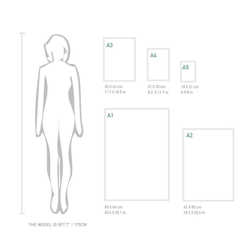 May include: A diagram showing the relative sizes of A1, A2, A3, A4, and A5 paper sizes. Measurements are provided in both inches and centimeters. The model's height is 5ft 7in / 175cm.
