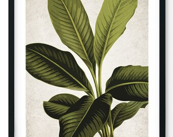 Abstract Plant Giclee Print, Restored Vintage Wall Art, Botanical Home Decor, Flower Wall Art, Botany Print - A5, A4, A3, A2