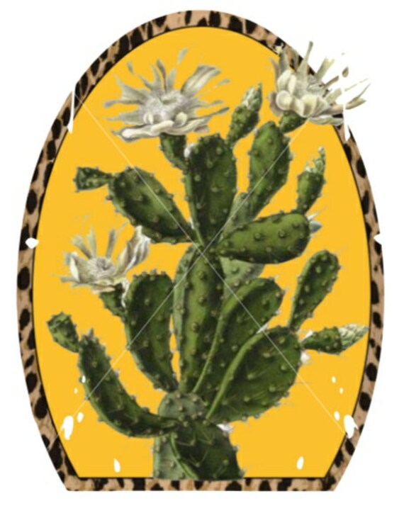 Leopard Vintage Cactus PNG