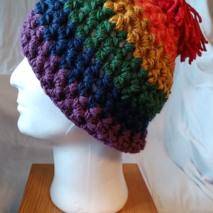 Rainbow winter hat with pompom