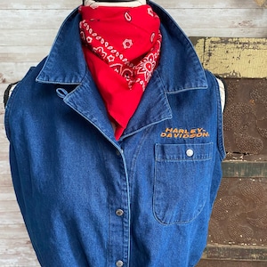 Ladies Harley Davidson Denim shirt.  HD036
