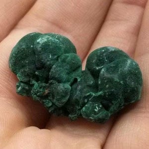 Malachit Kristall Matrix, Kongo, Afrika, 3 cm Länge - 0244