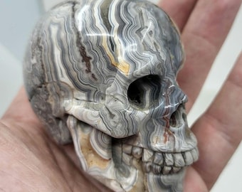 Cráneo realista tallado en ágata de encaje loco, ejemplar de 7,6 cm - 0416
